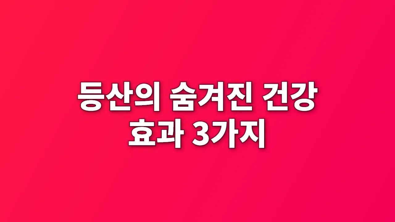 등산의 숨겨진 건강 효과 3가지